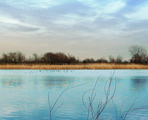 View of Jamaica Bay's East Pond