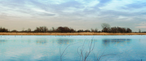 View of Jamaica Bay's East Pond