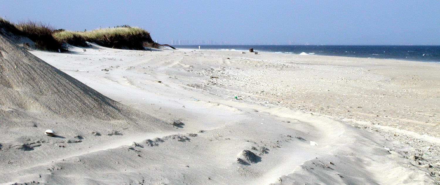 View of the white sand beach at Sandy Hook